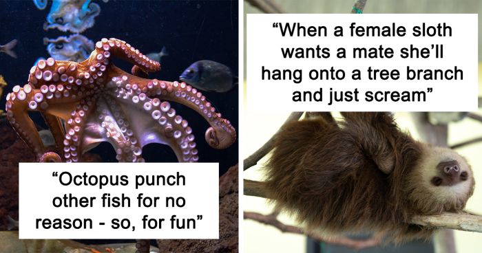 28 People Share Their Weirdest Animal Facts