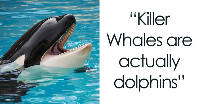 28 Weird Animal Facts You Might Not Know Yet