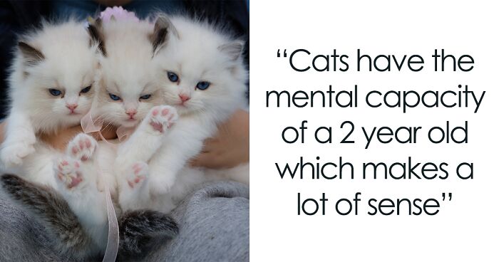 People Are Sharing The Most Obscure Animal Facts They Know, And Here's 28 Of The Best Ones