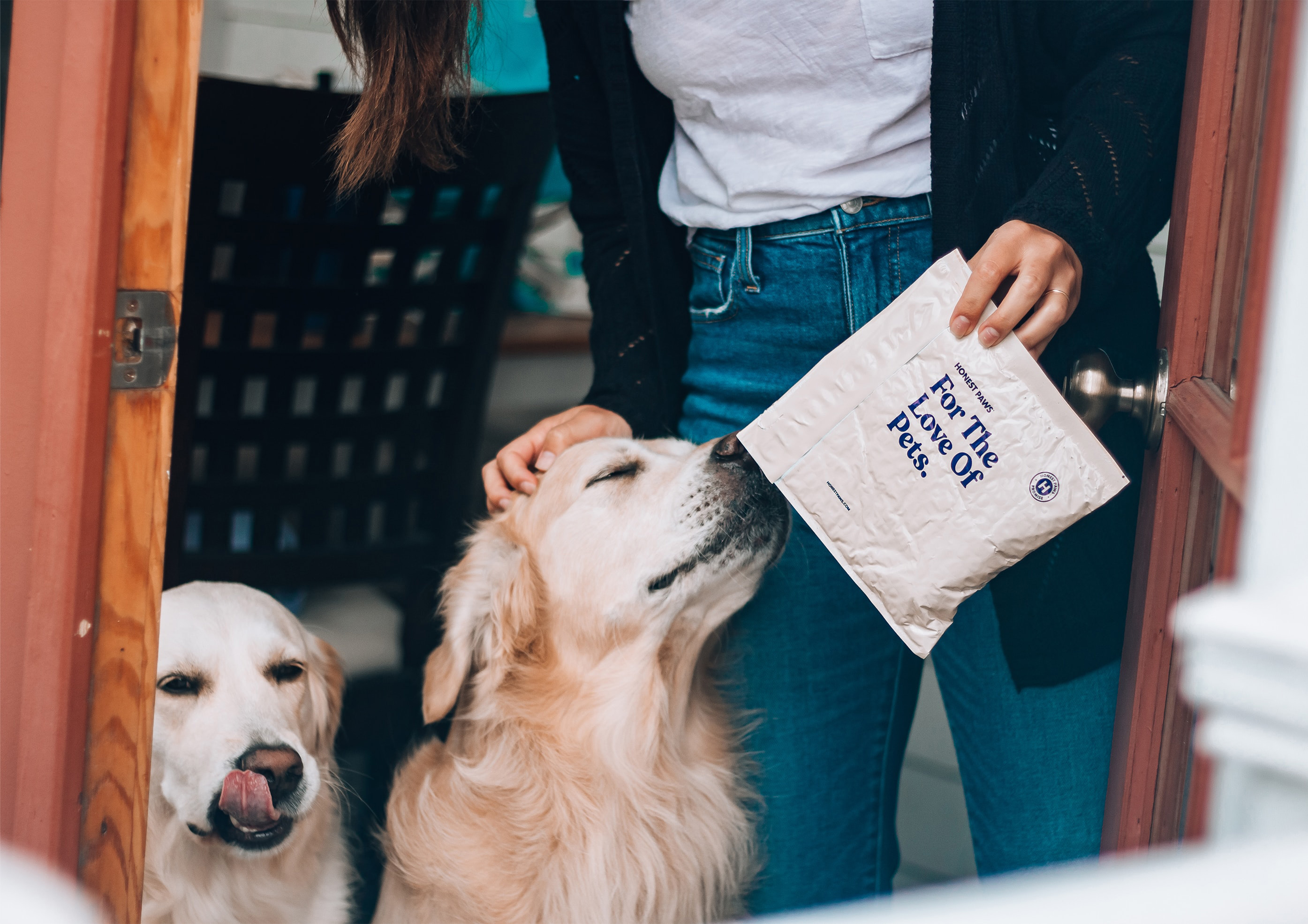 Why Does Your Dog Lick His Lips? Hungry? Thirsty? Stressed?