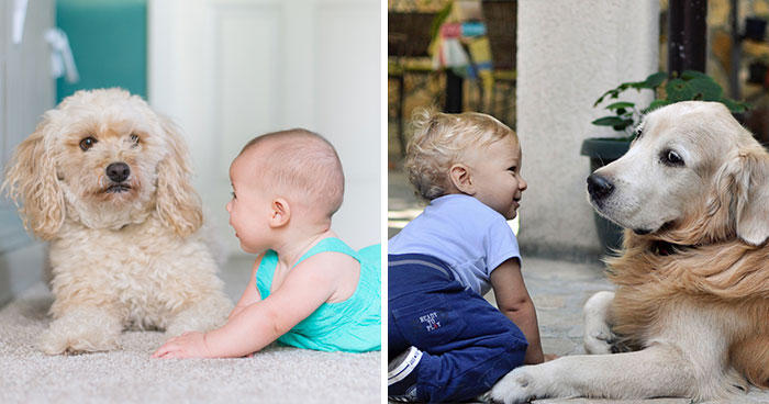 Why Do Dogs Like Babies? Exploring Protection and Understanding