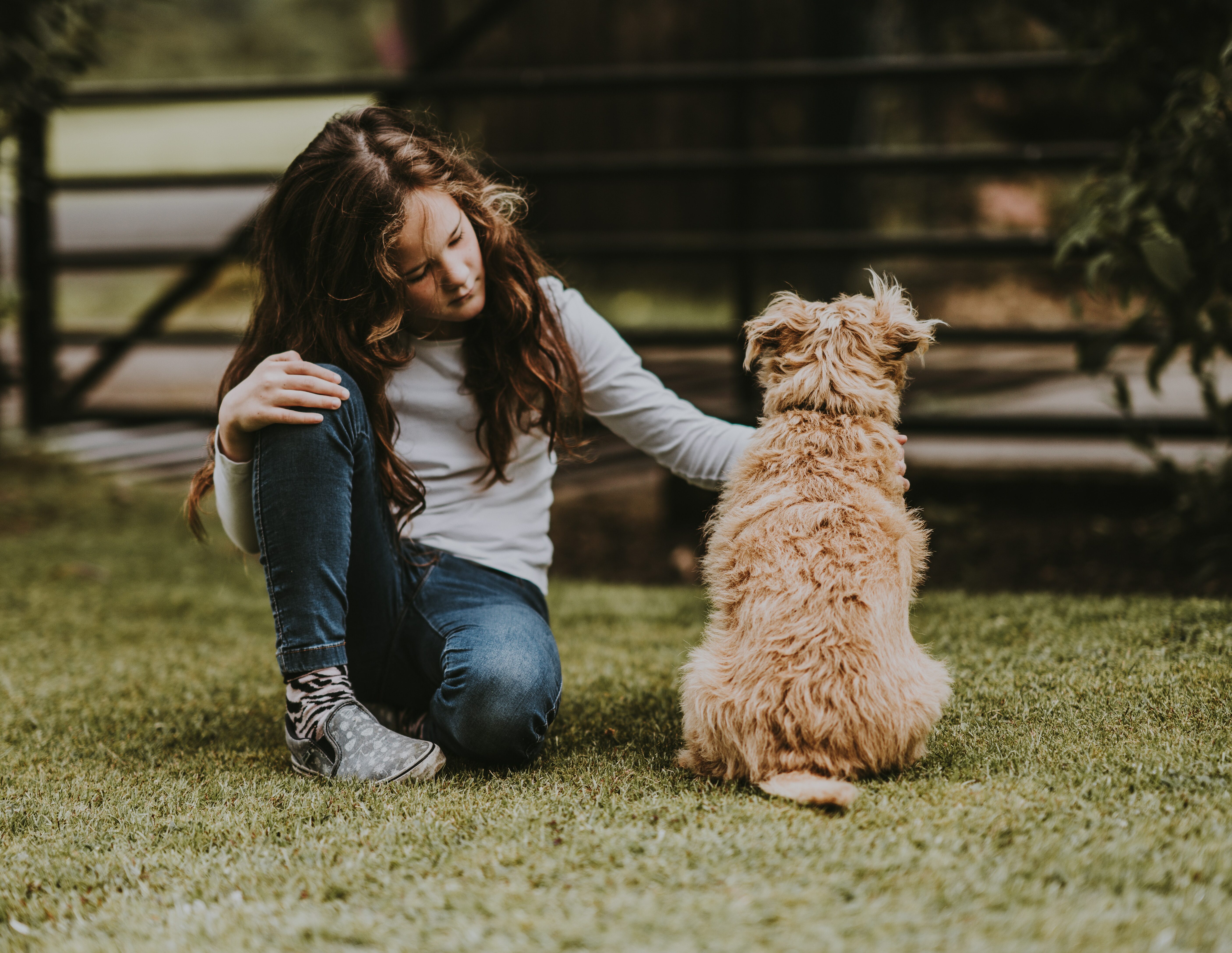 Girl petting brown dog