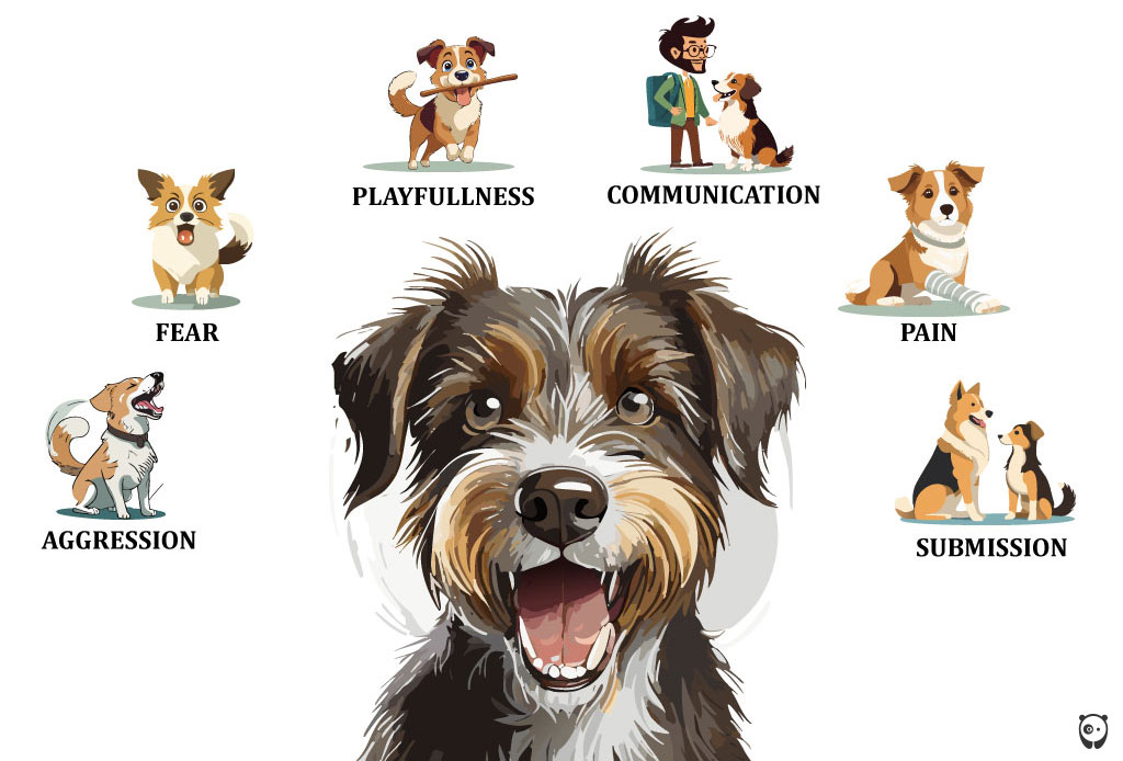 illustration why dog shows its teeth