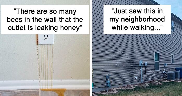 These Building Inspectors Share Terrible Things They Have Seen, Here Are The 60 Worst Ones