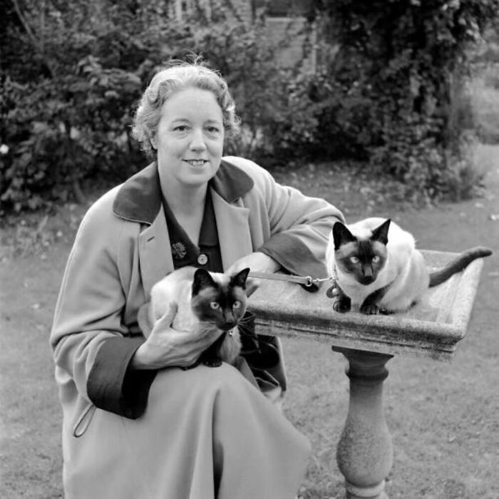 56 Vintage Photos Of Cats Posing With Famous People And Interesting Personalities (New Pics)