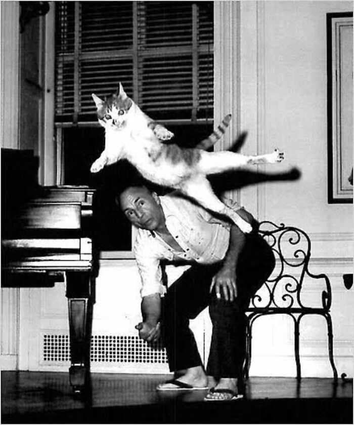 56 Vintage Photos Of Cats Posing With Famous People And Interesting Personalities (New Pics)