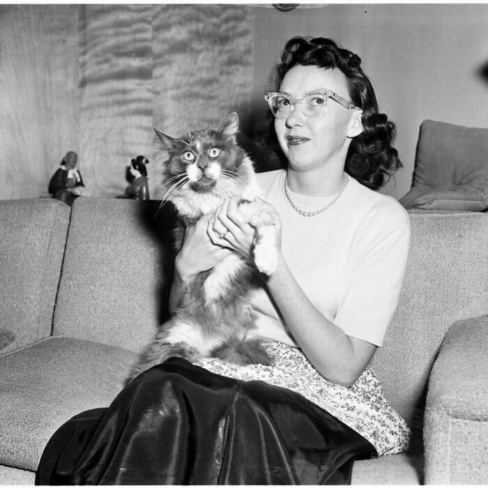 40 Vintage Photos Of Cats Posing With Famous People And Interesting ...