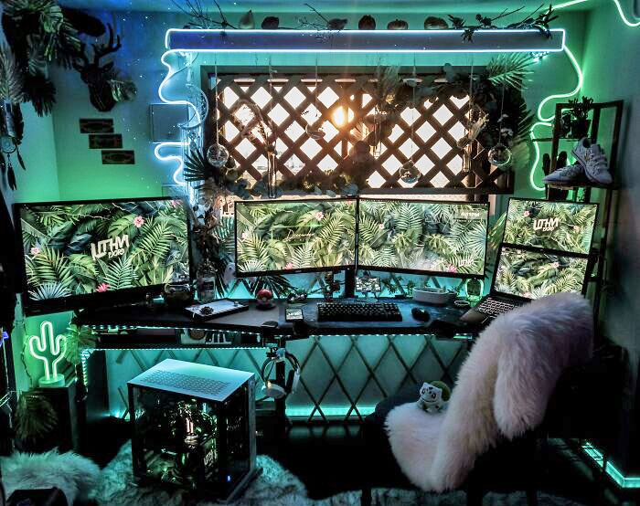 My Spaceship Landed In The Furry Jungle