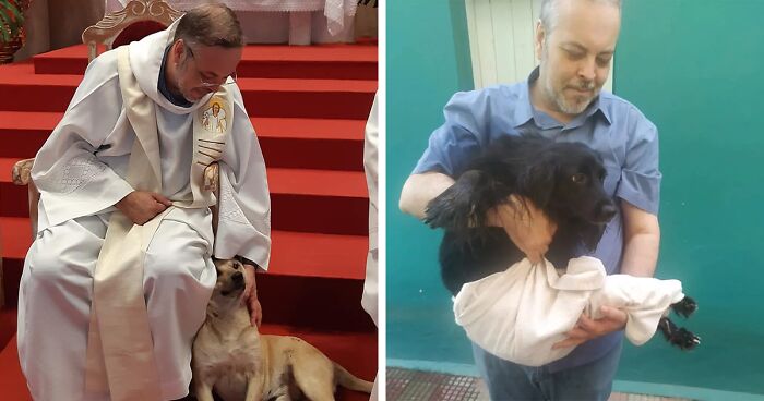 Stray Dogs Attend Church Service And Look For New Families Thanks To This Brazilian Priest (21 New Pics)