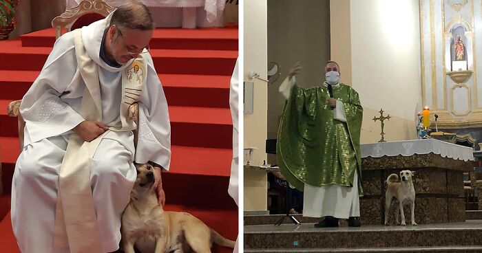 Compassionate Priest Helps Stray Dogs Find New Families At His Church Service (21 New Pics)