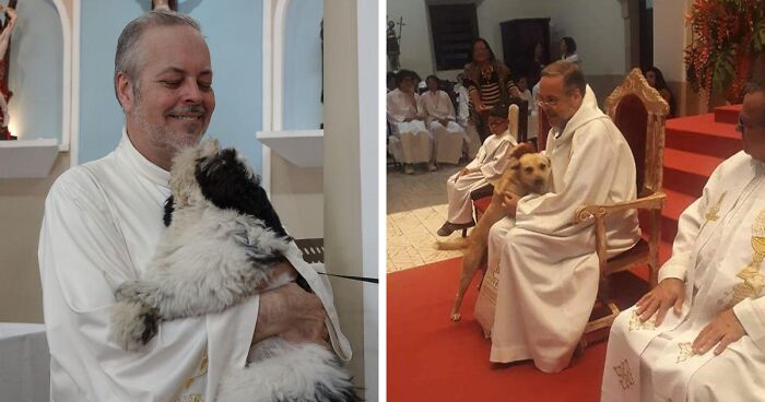 Loving Priest Turns Church Services Into Adoption Fairs For Stray Dogs (21 New Pics)