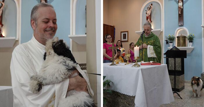 Stray Dogs Attend Church Service And Look For New Owners Thanks To This Brazilian Priest (21 New Pics)