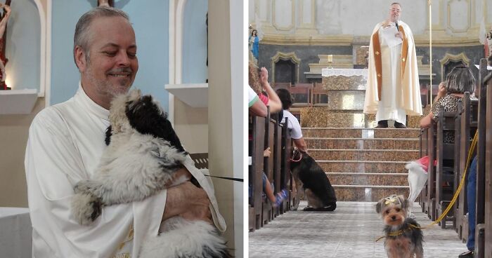 Brazilian Priest Welcomes Stray Dogs To Church Services To Find Them Homes (21 New Pics)