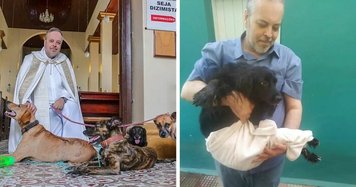 Stray Dogs Join Church Mass Hosted By A Caring Priest For A Chance At New Homes (21 New Pics)