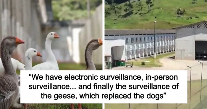 Geese Make Sure Inmates Don’t Escape In This Southern Brazilian Prison