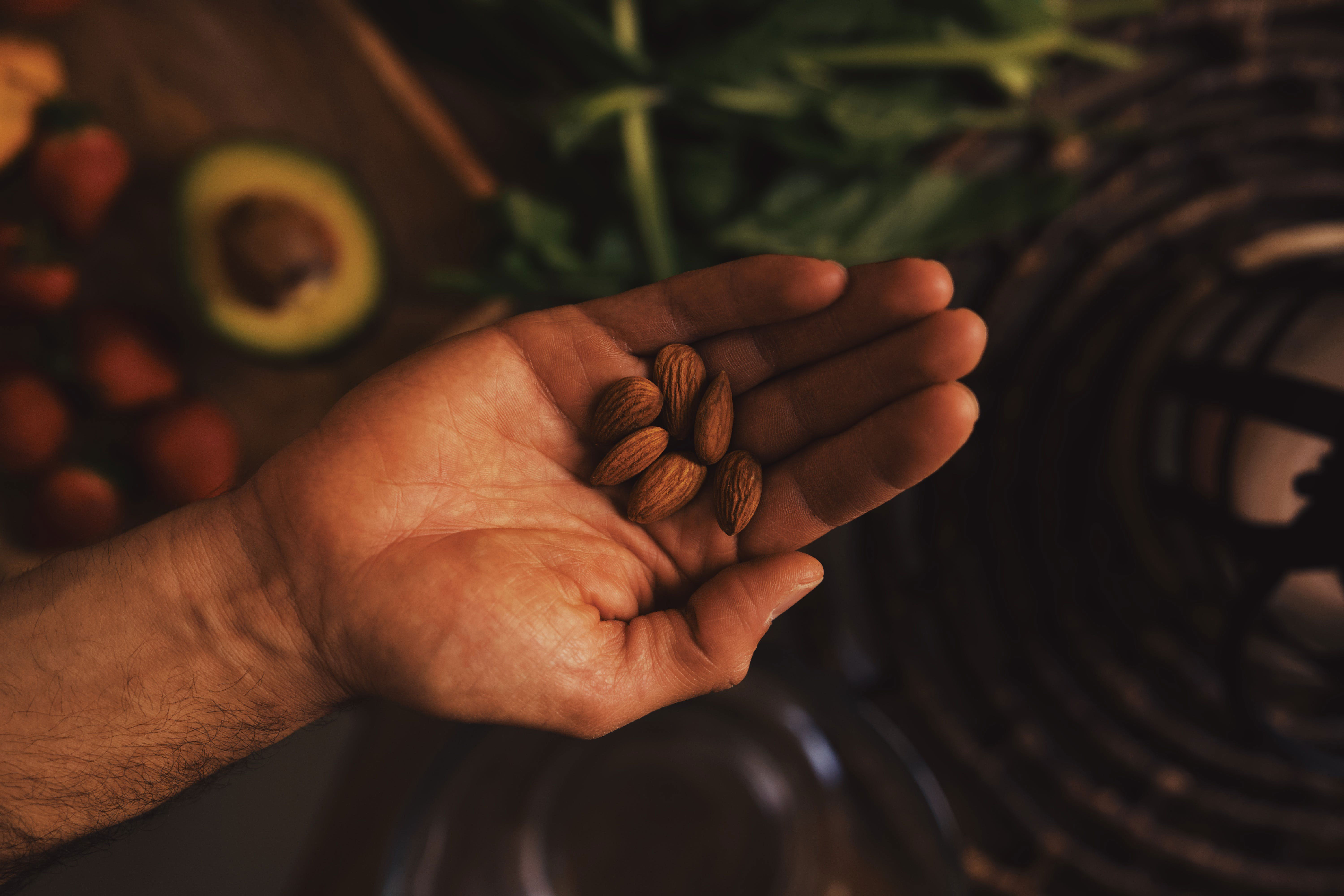 almonds in a palm