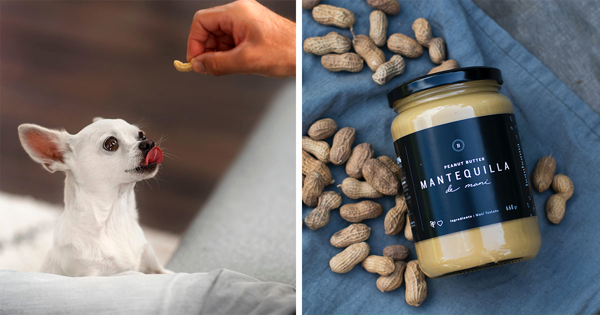 Are dry roasted outlet peanuts bad for dogs