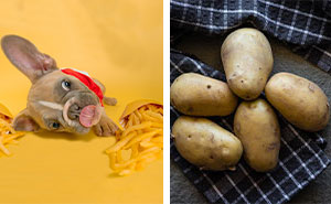 Can Dogs Eat Potatoes?