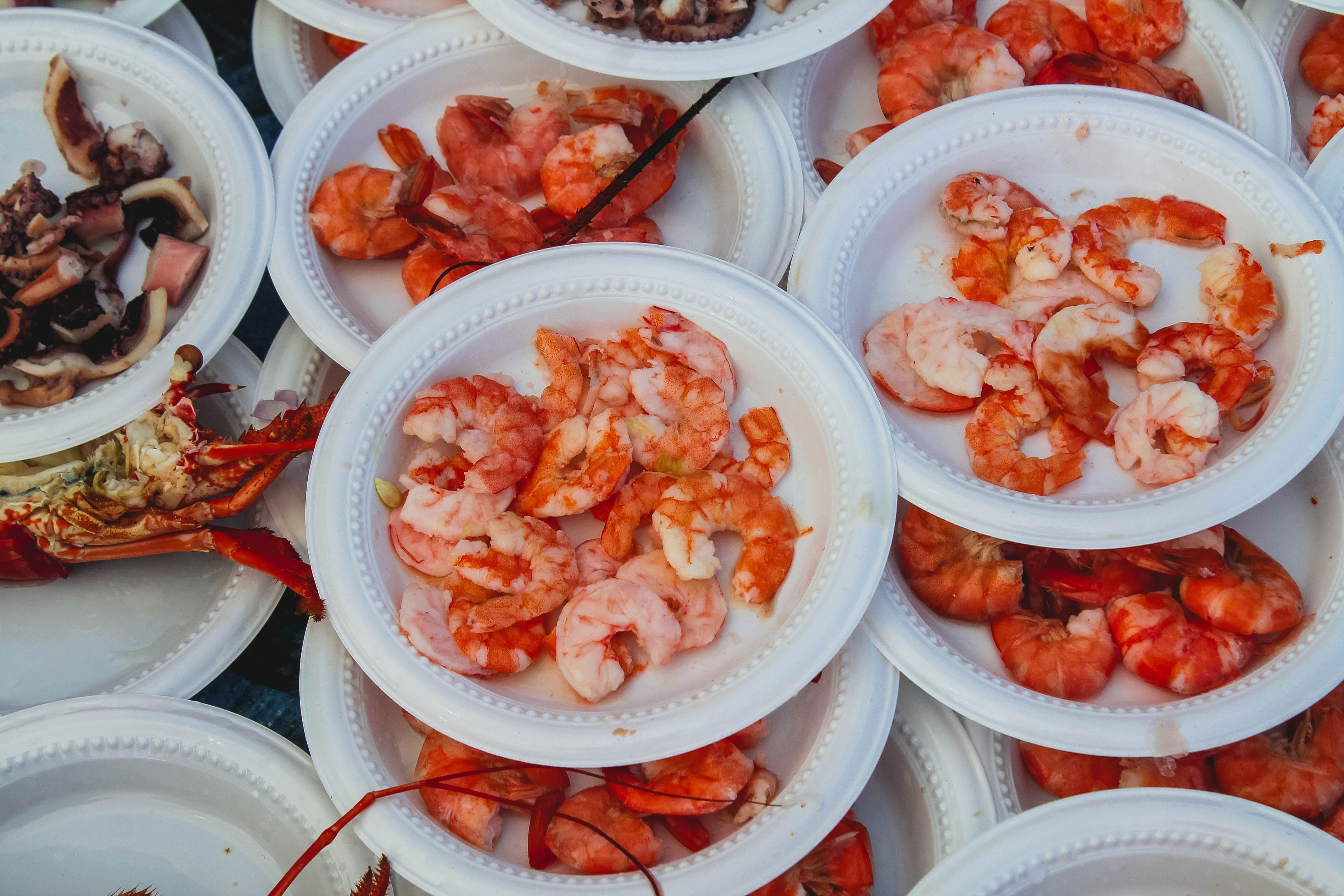 cooked shrimps on white plates