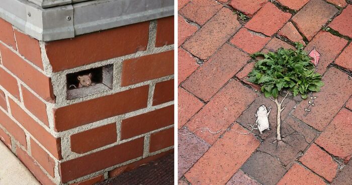 Unexpected Encounters: 70 Of David Zinn's Chalk Doodles Of Various Adorable Creatures (New Pics)