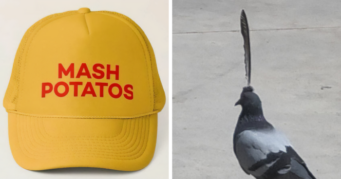 This IG Account Is Dedicated To The Most Chaotic Hats, Here Are 58 That Live Up To The Name