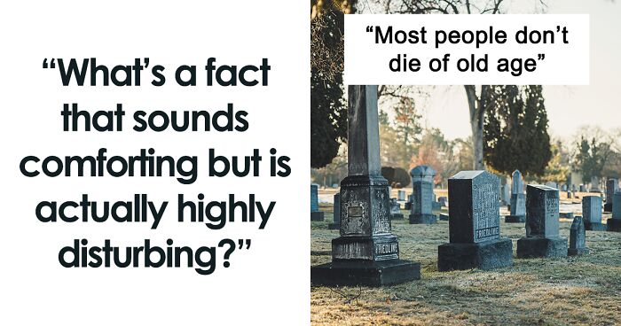 Someone Asks What Facts Sound Comforting But Are Actually Highly Disturbing, And 30 People Deliver