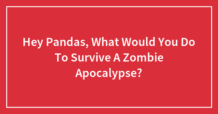 Hey Pandas, What Would You Do To Survive A Zombie Apocalypse? (Closed)