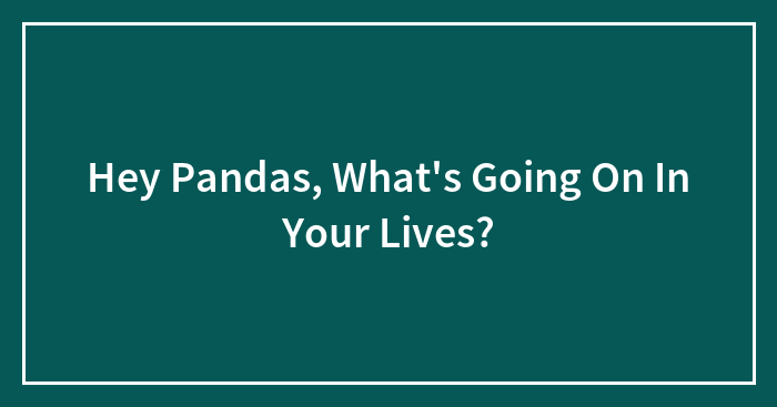 Hey Pandas, What’s Going On In Your Lives? (Closed)