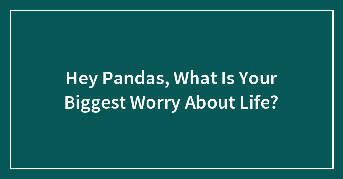 Hey Pandas, What Is Your Biggest Worry About Life? (Closed)