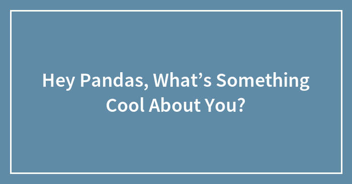 Hey Pandas, What’s Something Cool About You? (Closed)