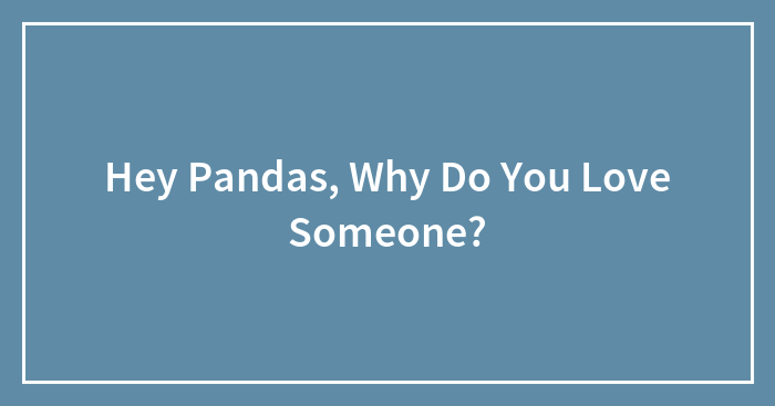 Hey Pandas, Why Do You Love Someone? (Closed)