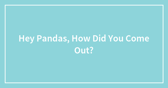 Hey Pandas, How Did You Come Out? (Closed)