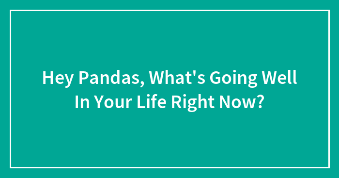 Hey Pandas, What’s Going Well In Your Life Right Now? (Closed)