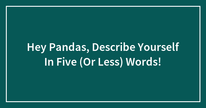 Hey Pandas, Describe Yourself In Five (Or Less) Words!