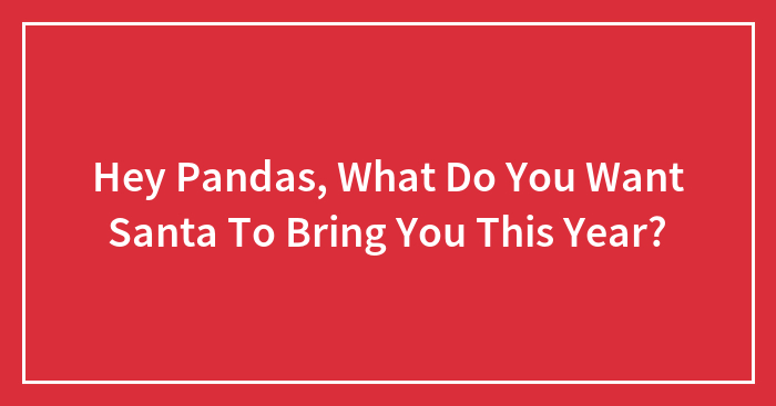 Hey Pandas, What Do You Want Santa To Bring You This Year?