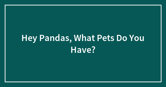 Hey Pandas, What Pets Do You Have? (Closed)