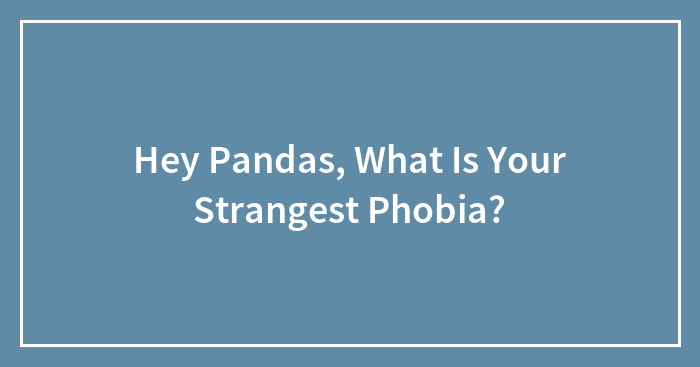 Hey Pandas, What Is Your Strangest Phobia? (Closed)