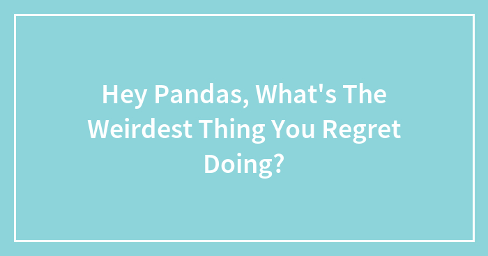 Hey Pandas, What’s The Weirdest Thing You Regret Doing?