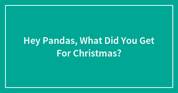 Hey Pandas, What Did You Get For Christmas? (Closed)