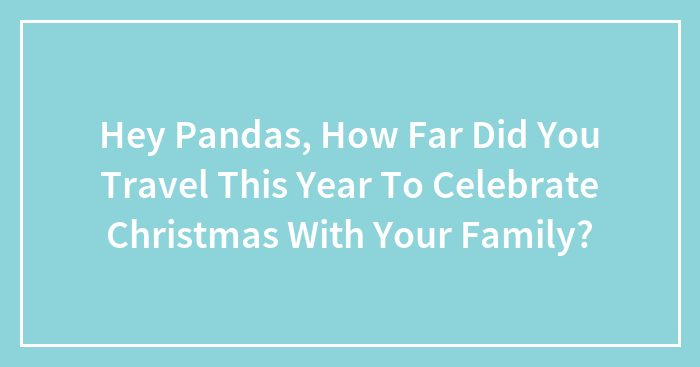 Hey Pandas, How Far Did You Travel This Year To Celebrate Christmas With Your Family? (Closed)