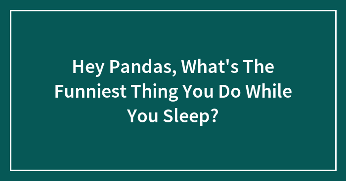 Hey Pandas, What’s The Funniest Thing You Do While You Sleep?