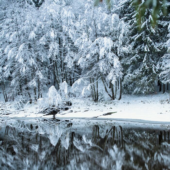 I Captured Frosty Autumn