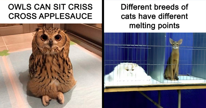 “The Darker Side Of Science”: 43 Amusing Posts Poking Fun At Anything 'Scientific' (New Pics)