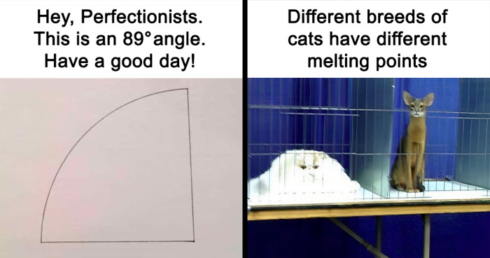 This Facebook Group Explores “The Darker Side Of Science” With These 43 Chucklesome Memes (New Pics)