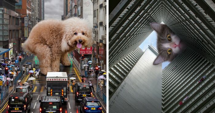 This Artist Reimagined Hong Kong With Giant Animal Residents In His Surreal Depictions (30 Pics)