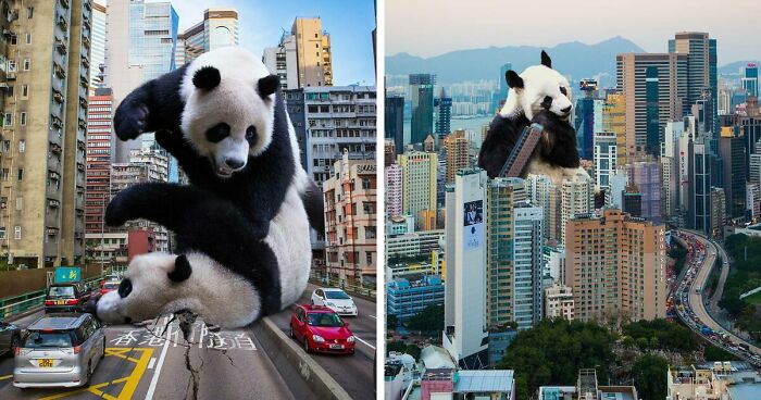 This Artist Reimagined Hong Kong With Giant Animal Residents In His Surreal Depictions (30 Pics)