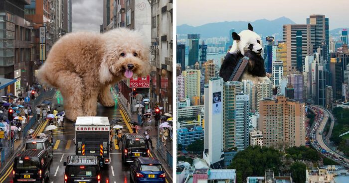 This Artist Reimagined Hong Kong With Giant Animal Residents In His Surreal Depictions (30 Pics)