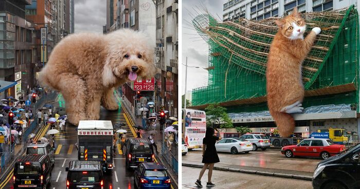 This Artist Reimagined Hong Kong With Giant Animal Residents In His Surreal Depictions (30 Pics)