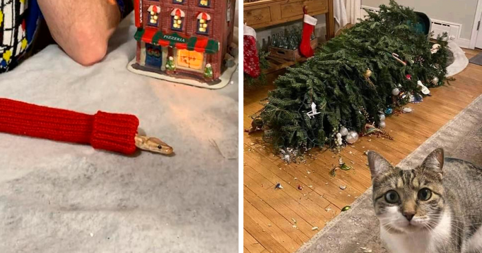 65 Animals That Made Christmas Way Better, But Some Owners Would Disagree