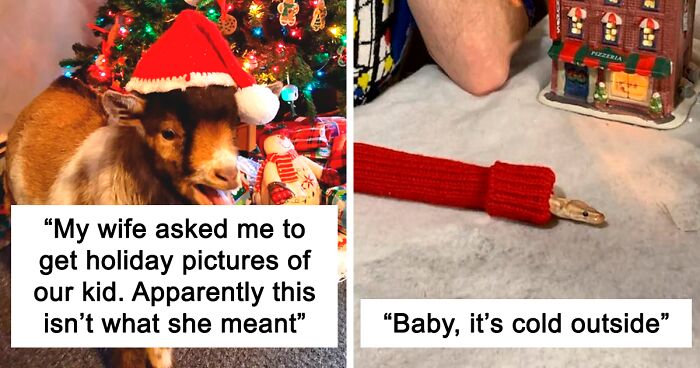 65 Proud Owners Share How Their Animal Companions Celebrated Christmas